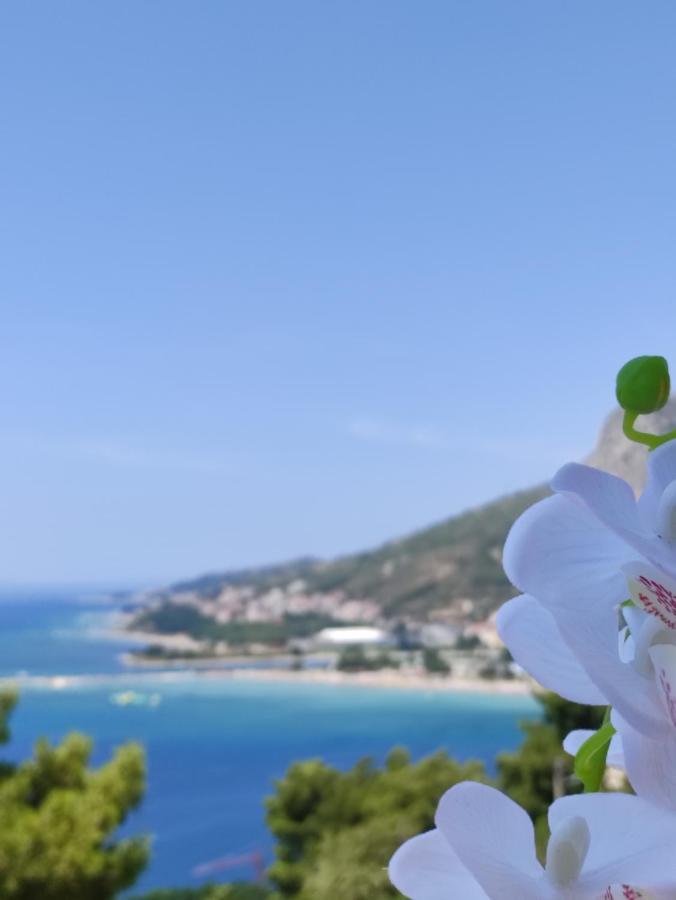 Ferienwohnung Rake Omiš Exterior foto